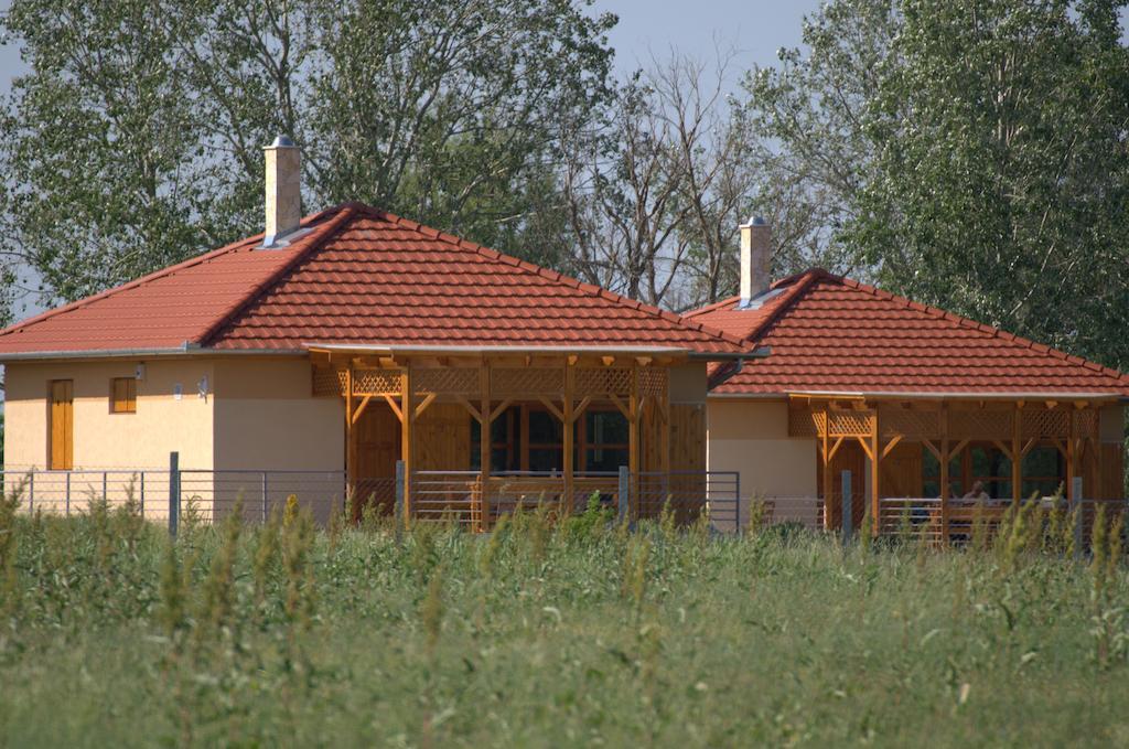 Pusztaeldorado Tiszagyenda Luaran gambar